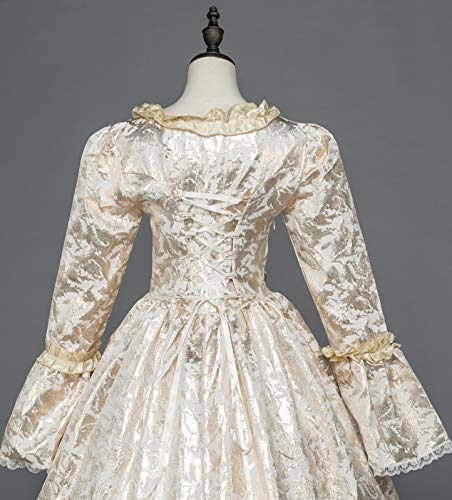 18th Century Rococo Ball Gown for Women 100 Deals