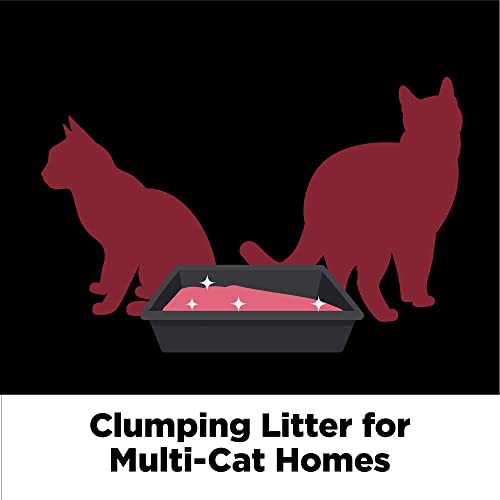 ARM & HAMMER Platinum Cat Litter - 40lb 100 Deals