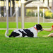 AYOHA Artificial Grass for Pets 100 Deals