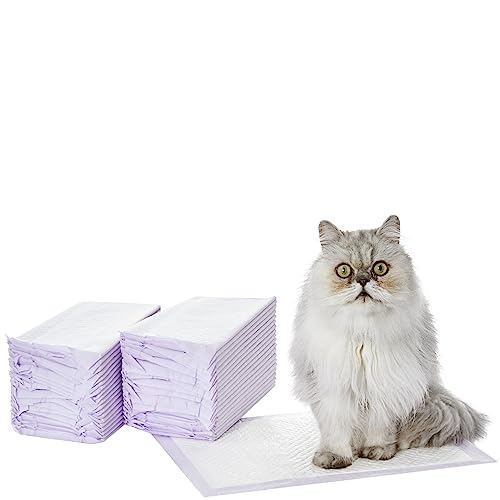 Amazon Basics Cat Pad Refills - Purple 100 Deals