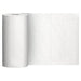 Amazon Basics Flex-Sheets 2-Ply Paper Towels 100 Deals