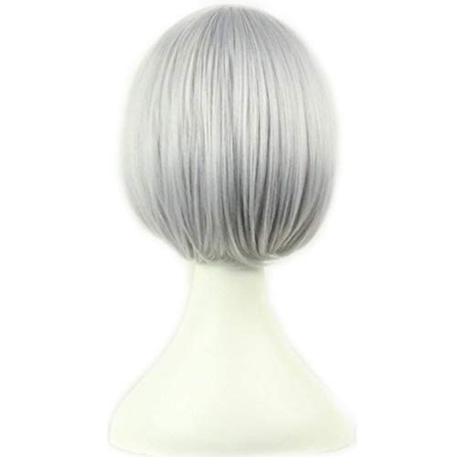 AneShe Grey Short Straight Anime Cosplay Wig 100 Deals