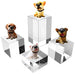 Angjiar Acrylic Display Stand Set for Collectibles 100 Deals