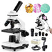 BEBANG 100X-2000X Compound Microscope Kit 100 Deals