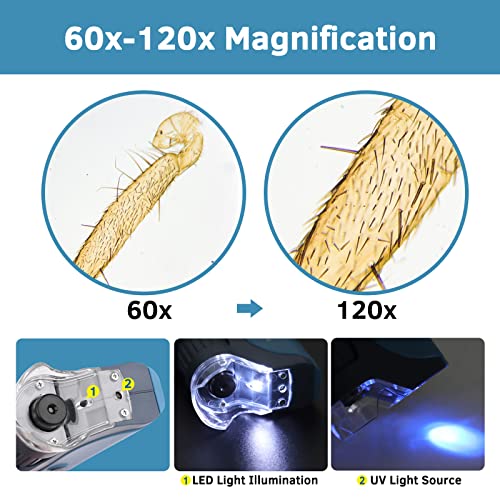 BEBANG Pocket Microscope with LED Lights 100 Deals