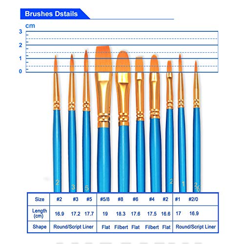 BOSOBO Artist Paint Brushes Set - 20 Round Tip 100 Deals