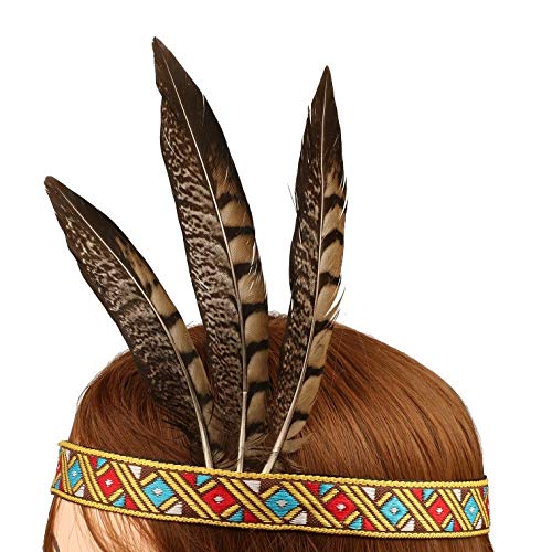 Blue Feather Headdress for Boys & Girls 100 Deals