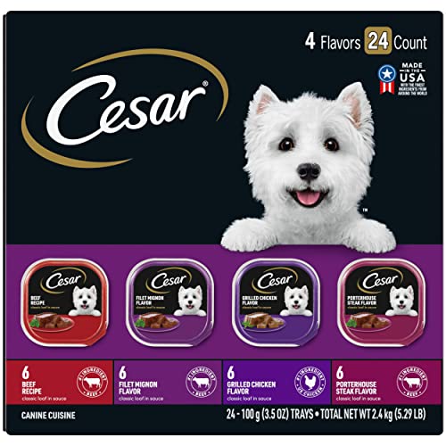 CESAR Classic Wet Dog Food Variety Pack 100 Deals