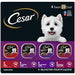 CESAR Classic Wet Dog Food Variety Pack 100 Deals