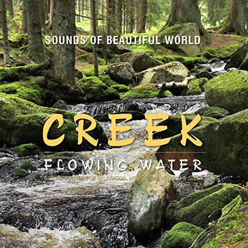 Calming Creek: Nature Sounds for Relaxation 100 Deals