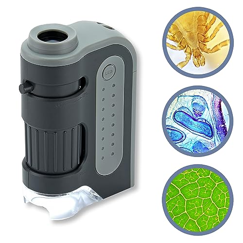 Carson MicroBrite Plus LED Pocket Microscope 100 Deals