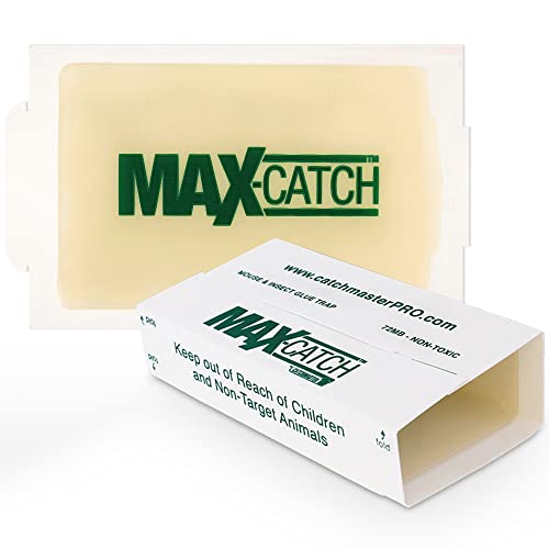 Catchmaster Pest Glue Trap - 36 Boards 100 Deals
