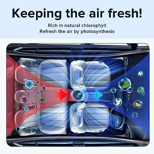 Ceeniu Car Air Fresheners - 45ml Refill 100 Deals