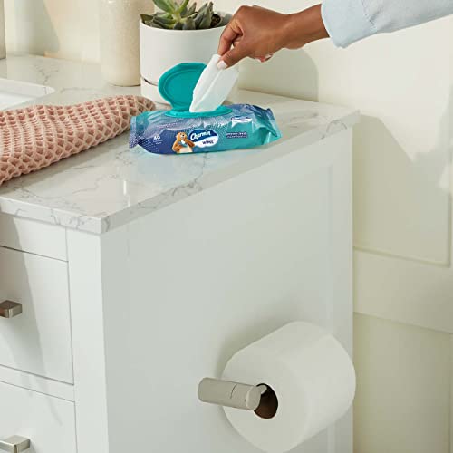 Charmin Flushable Wipes - 160 Wipes 100 Deals