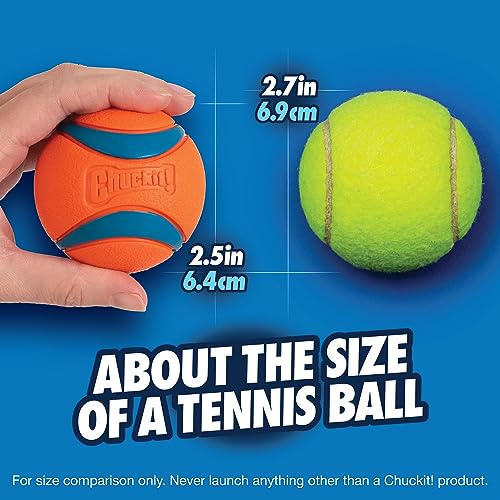 Chuckit! Medium Ultra Ball Dog Toy 100 Deals