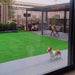 Fake Grass Turf for Pet Dogs 100 Deals