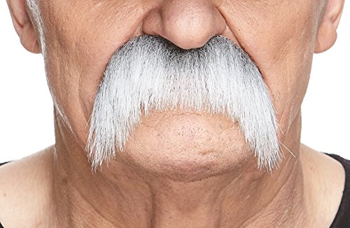 Fake Horseshoe Mustache, Gray and White Color 100 Deals