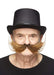 Fisherman's Fake Mustache, Self-Adhesive Costume Accessory 100 Deals