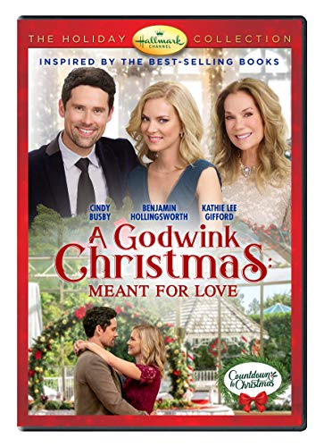 Godwink Christmas: Meant For Love - Film 100 Deals