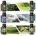 HIQILI Nature Fragrance Oil Set for Aromatherapy 100 Deals
