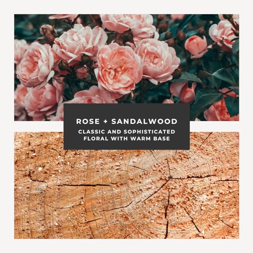 Herb and Root Rose Sandalwood Perfume Oil 100 Deals