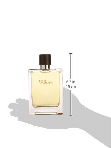 Hermes Terre D' Men's Perfume, 6.7oz 100 Deals