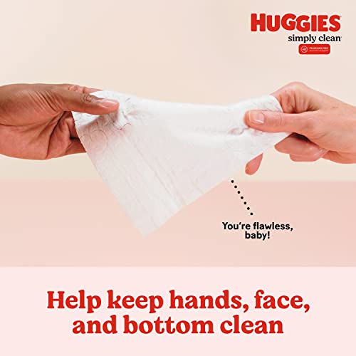 Huggies Simply Clean Baby Wipes, 704 Count 100 Deals