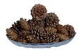 Innovative Fragrances Inc. Cinnamon Scented Pine Cones 100 Deals