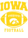Iowa Hawkeyes Football Jersey Black Large 100 Deals