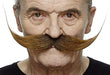 Large Dali Fake Mustache for Adults, Brown 100 Deals