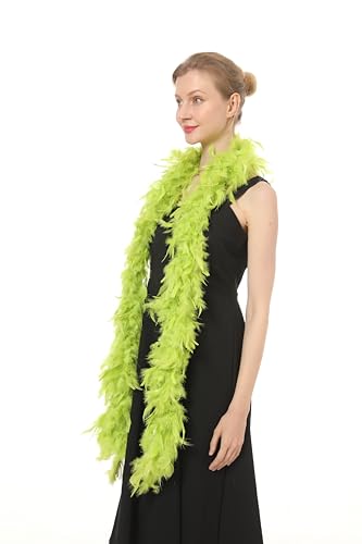 Lime Green 60g Feather Boa - 2 Yard Long 100 Deals