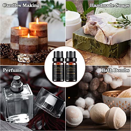 Manly Aromas Aromatherapy Oils Set for Men - 6 Scents 100 Deals
