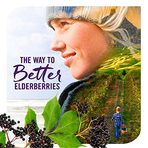 Nature's Way Elderberry Gummies with Vitamin C 100 Deals