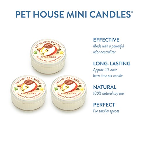 One Fur All Mini Pet House Candle Pack 100 Deals