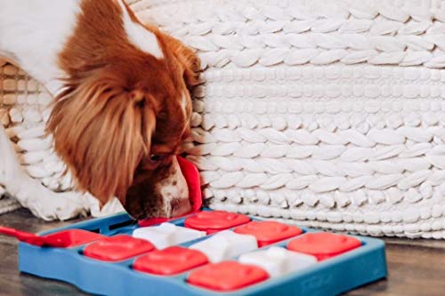 Outward Hound Dog Brick Interactive Treat Puzzle 100 Deals