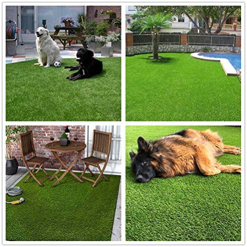 Petgrow Synthetic Grass Turf for Indoor/Outdoor Use 100 Deals