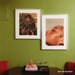 Premium Interior Paint | Vibrant Olive Green | 5 Gallons 100 Deals