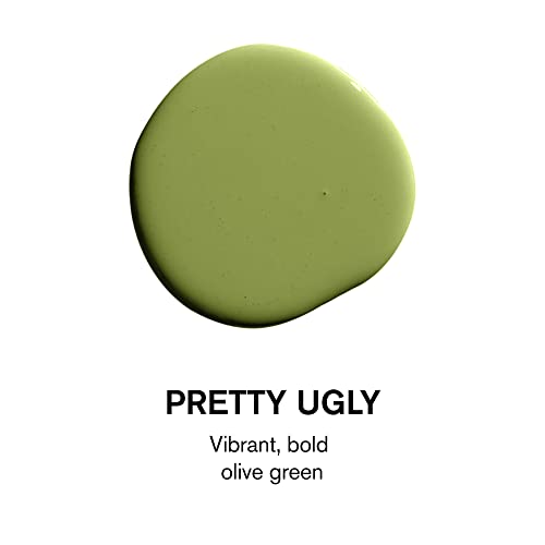 Premium Interior Paint | Vibrant Olive Green | 5 Gallons 100 Deals