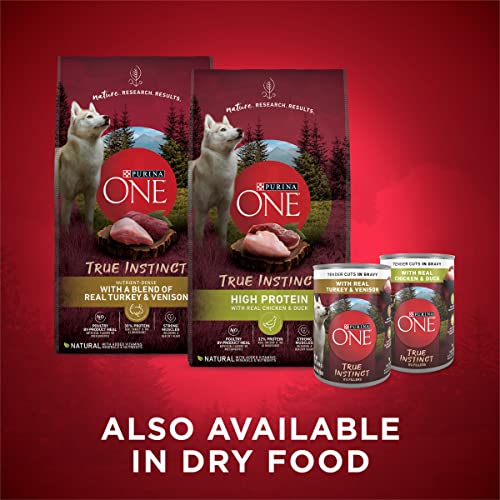 Purina ONE High Protein Wet Dog Food 100 Deals