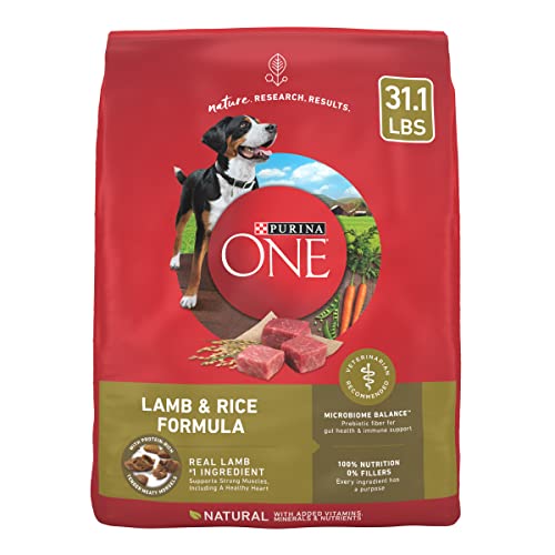 Purina ONE Lamb and Rice Dog Food 100 Deals