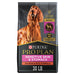 Purina Pro Plan Salmon and Rice Dog Food 100 Deals