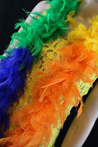 Rainbow Chandelle Feather Boa for Costumes 100 Deals