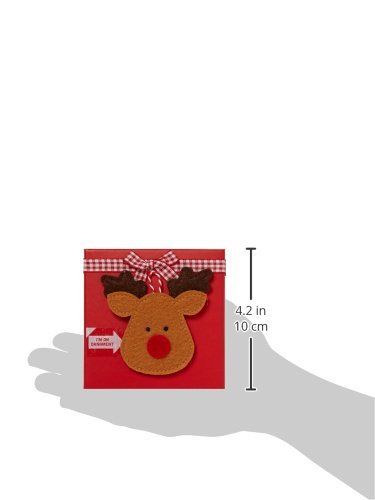 Reindeer Ornament Box Amazon.com Gift Card 100 Deals
