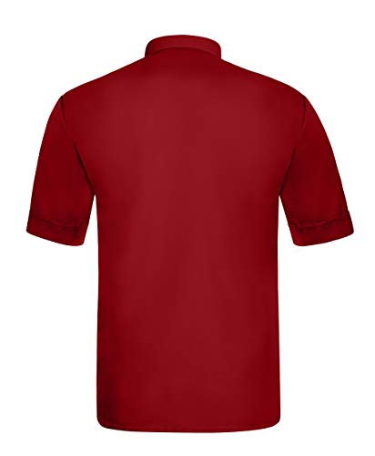 Dark Red Red Boy's Button Down Shirt, Short Sleeve, Size 4T