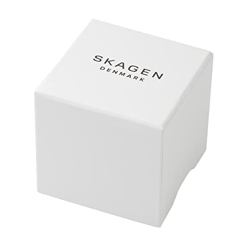 Light Gray Skagen Men's Sundby Quartz Analog Stainless Steel and Leather Watch, Color: Black Leather (Model: 233XXLSLB)