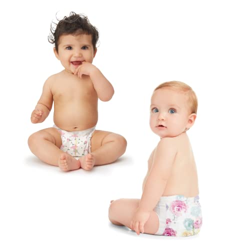 The Honest Company Plant-Based Diapers 80 Count