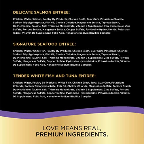SHEBA Signature Seafood Wet Cat Food Trays Amazon Canned Pet Products Sheba