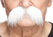 Mustaches Self Adhesive Walrus Fake Mustache, Novelty, Realistic False Facial Hair for Adults, Costume Accessory for Adults, White Color | Physical | Amazon, Apparel, Facial Hair, Mustaches | Mustaches