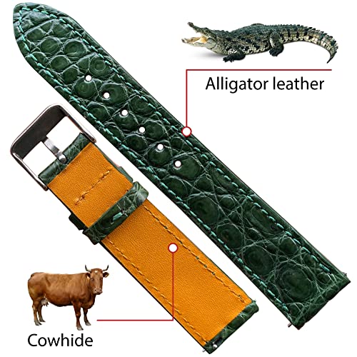 Vinacreations 22mm Green Alligator Leather Watch Band Amazon vinacreations Watch Watch Bands