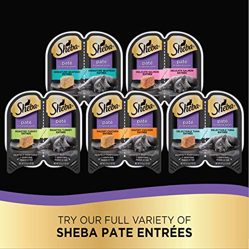 SHEBA Signature Seafood Wet Cat Food Trays Amazon Canned Pet Products Sheba